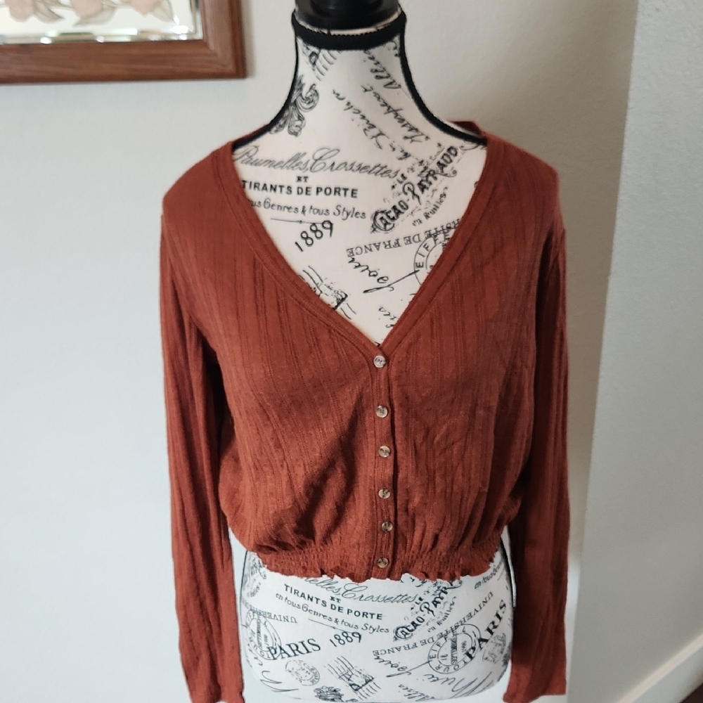 Abound Women's Rust V-Neck Button-Up Blouse